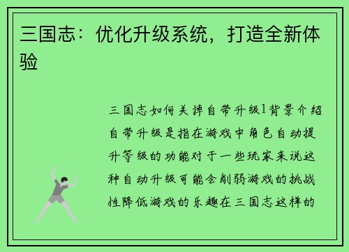 三国志：优化升级系统，打造全新体验